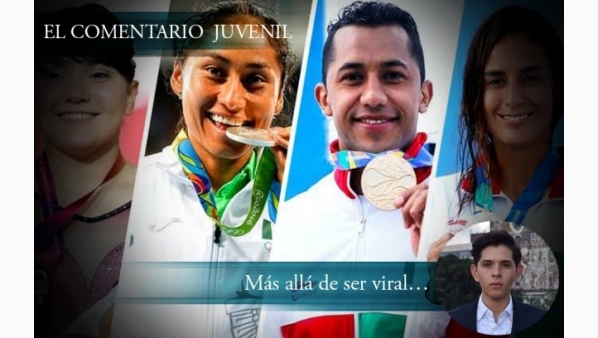 1330837116_plantilla_comentario.jpg