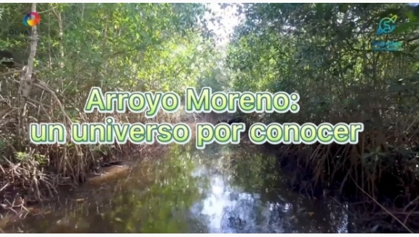1080084838_ciencia.jpg
