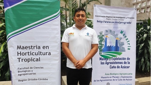 110526nuriahormigasarrieras1.jpg