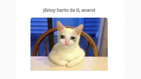 1209582648_sin_titulo.jpg