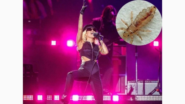 1499069212_miley.jpg