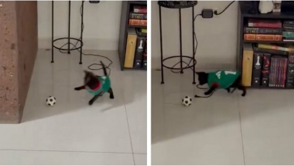 1661338499_sin_titulo.jpg