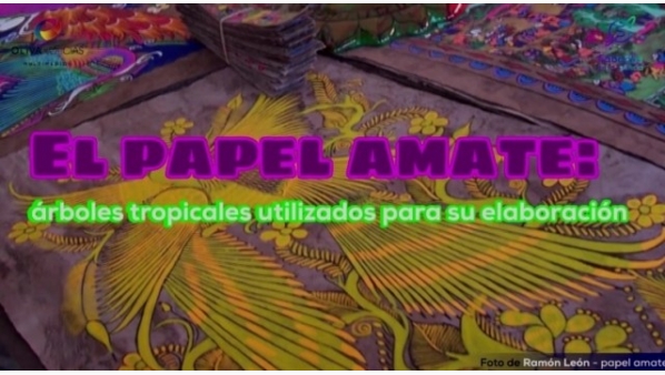 1777285455_ciencia.jpg