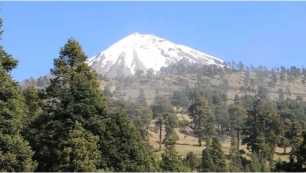 1957509354_pico.jpg
