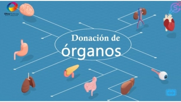 2007126064_ciencia.jpg
