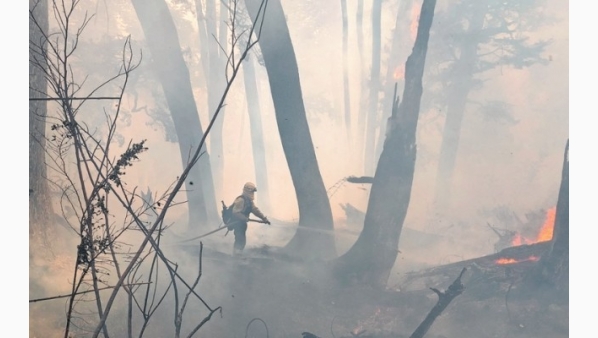 2061039756_incendios.jpg