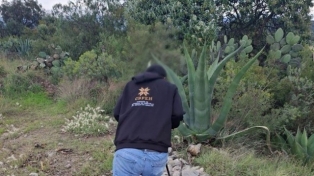 2125712371_sin_titulo.jpg