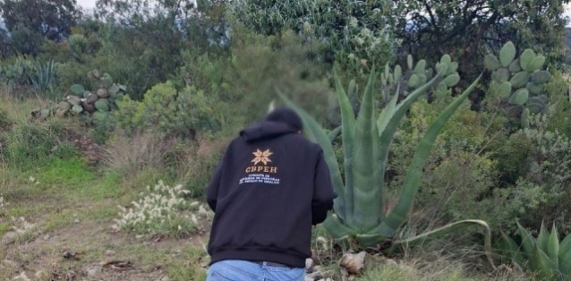 2125712371_sin_titulo.jpg