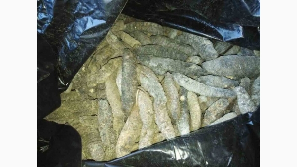 2251013.jpg