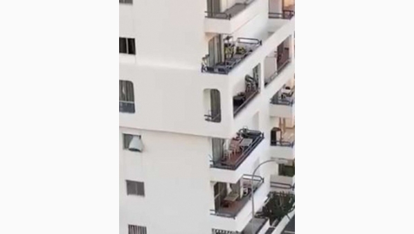 2286989.jpg