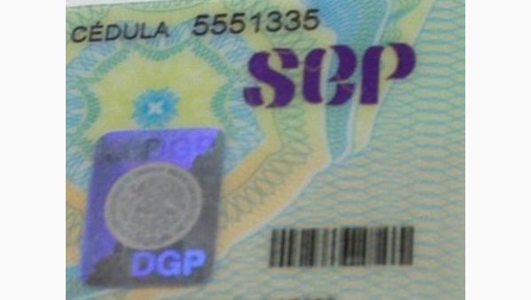 2305907.jpg