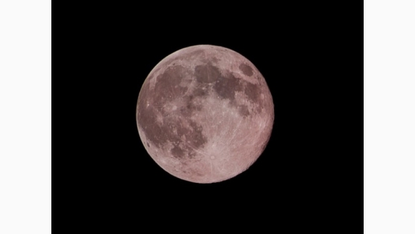 2558447.jpg