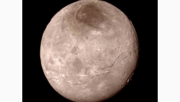 2716002.jpg