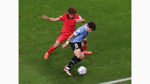 2861917.jpg