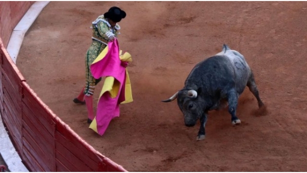 400451422_sin_titulo.jpg