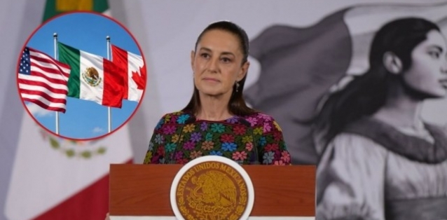 643330352_sin_titulo.jpg