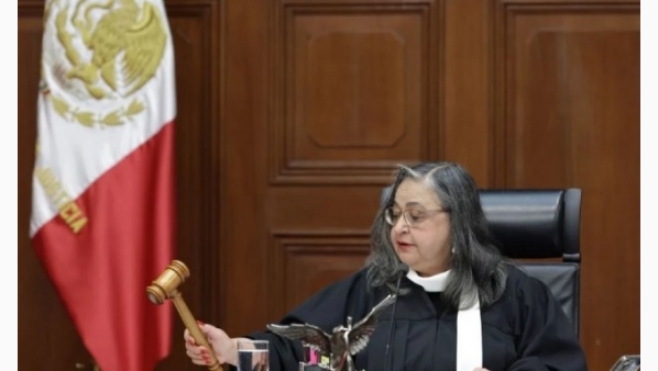 729663204_sin_titulo.jpg