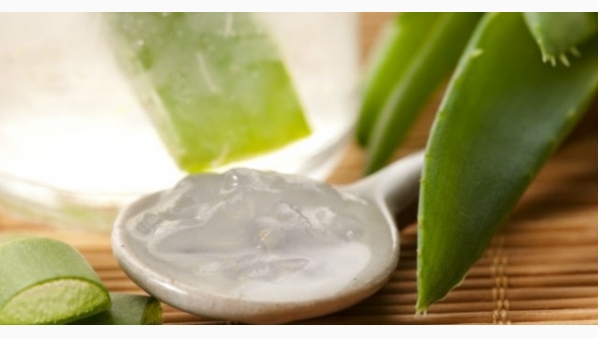 aloe.jpg