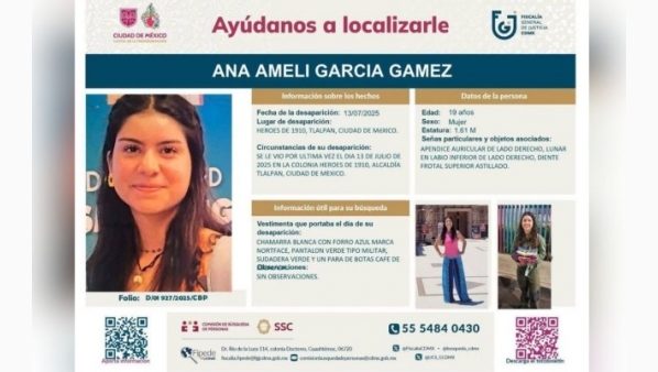 anaamelidosmeses130925.jpg