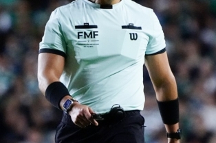 arbitrosligamxfmf.jpg