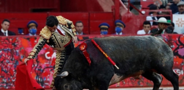 corridasdetorosenpuebla2048x1388.jpg