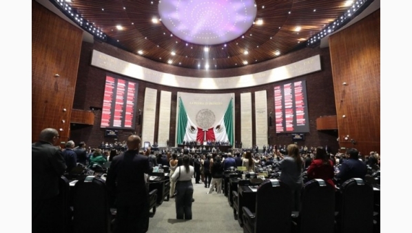 diputadoseleccionjudicial2028.jpg