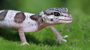 f848x4771284736_1342539_5050.jpg
