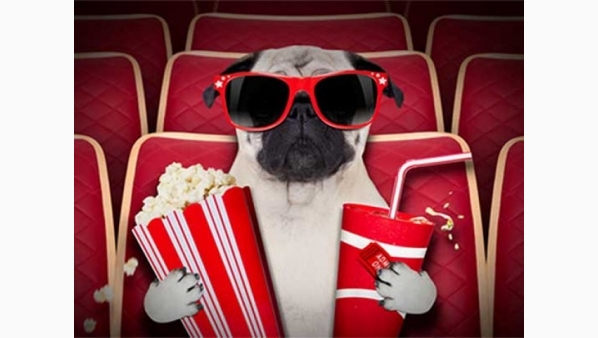 k9cinemaselsiguientepasoenlaevolucionhumana4.jpg