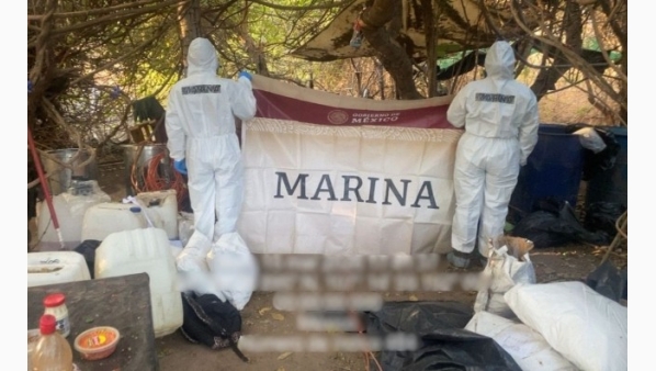 marinaneutralizalaboratorioclandestinoeneltuleculiacan.jpg