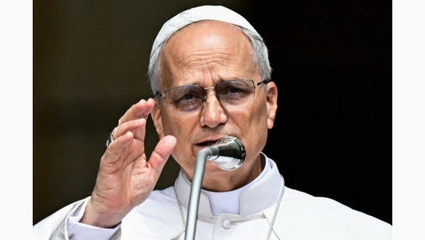 papaleonxiv211536x1024.jpg