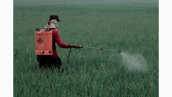 plaguicidasinsecticidas1536x1024.jpg