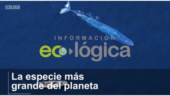 portadas_videos_fb.jpg