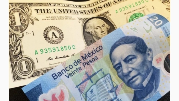 remesaseumexico29072024.jpg