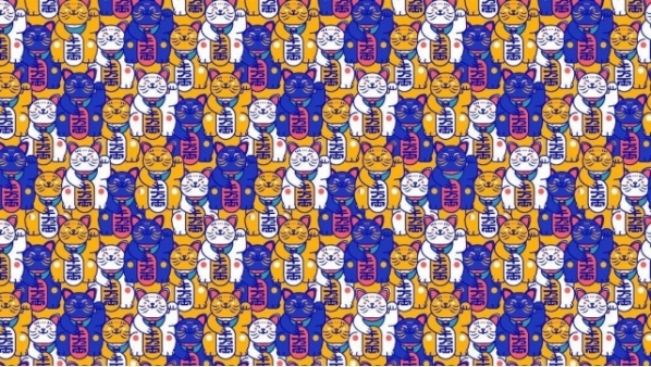 retovisualgatitossuertecascabel3.jpg