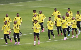 tecnicodesudafricareconocefortalezademexicorumboalainauguraciondelmundial.jpg
