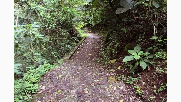 thumbnail_img_4843.jpg
