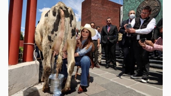 vaca_foto.jpg